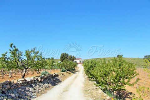 Farm hus i Yecla, Murcia, Yecla - € 410.000 | Ref: SF0064 - foto 15